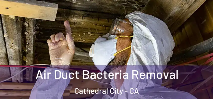  Air Duct Bacteria Removal Cathedral City - CA