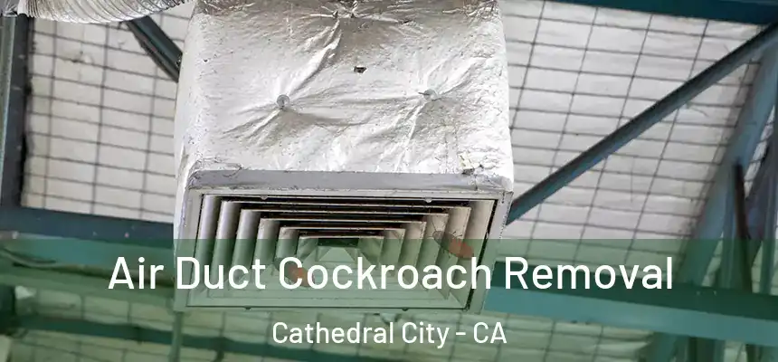  Air Duct Cockroach Removal Cathedral City - CA