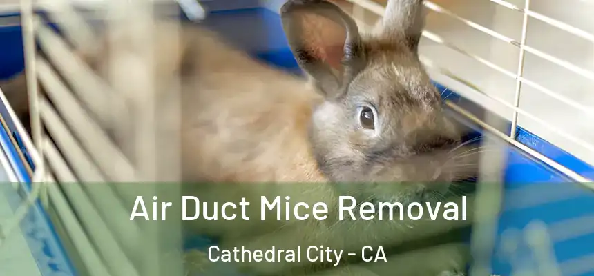  Air Duct Mice Removal Cathedral City - CA