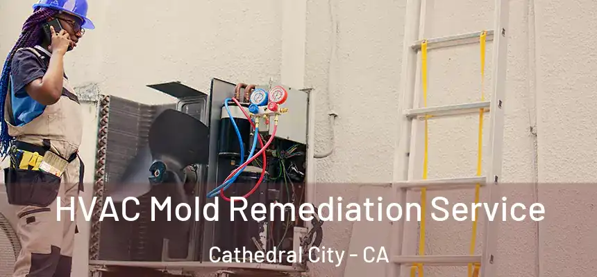  HVAC Mold Remediation Service Cathedral City - CA