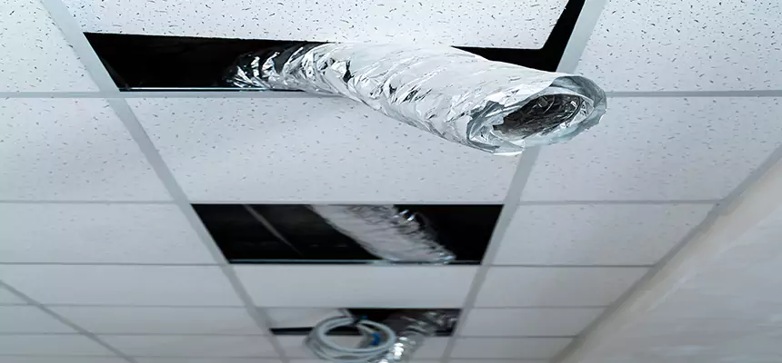 Affordable HVAC Sanitizing After Pest Removal in Cathedral City