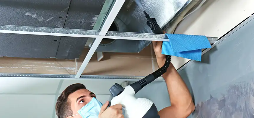 Our Air Duct Rodent Removal Services in Cathedral City, CA