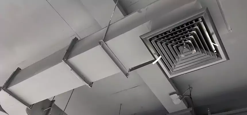 Restorative Allergy Relief Vent Cleaning – Coil, Blower & Housing Detail in Cathedral City