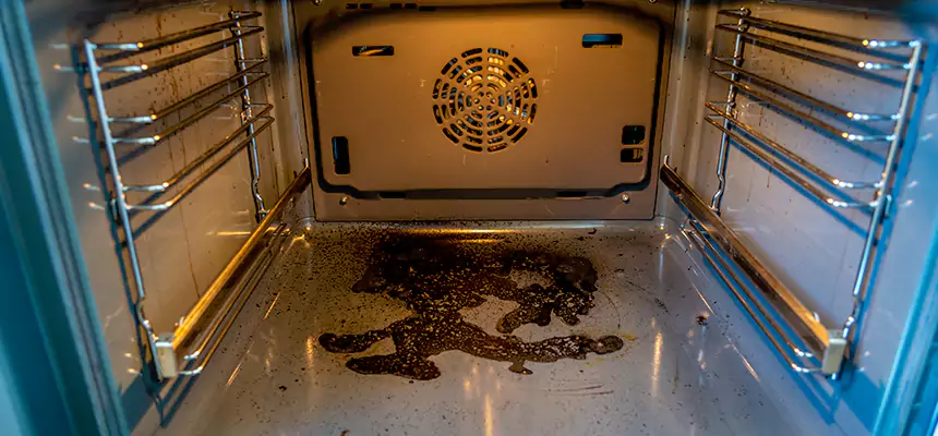 Our Dryer Vent Mold Cleaning Services in Cathedral City, CA