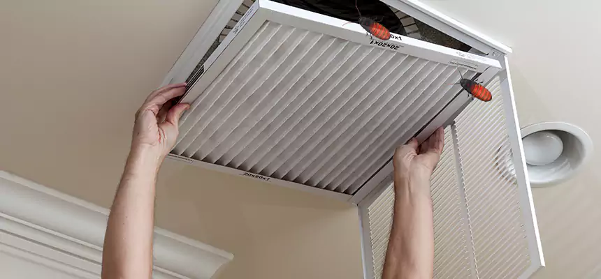 Our Insect Removal from Air Ducts Services in Cathedral City, CA