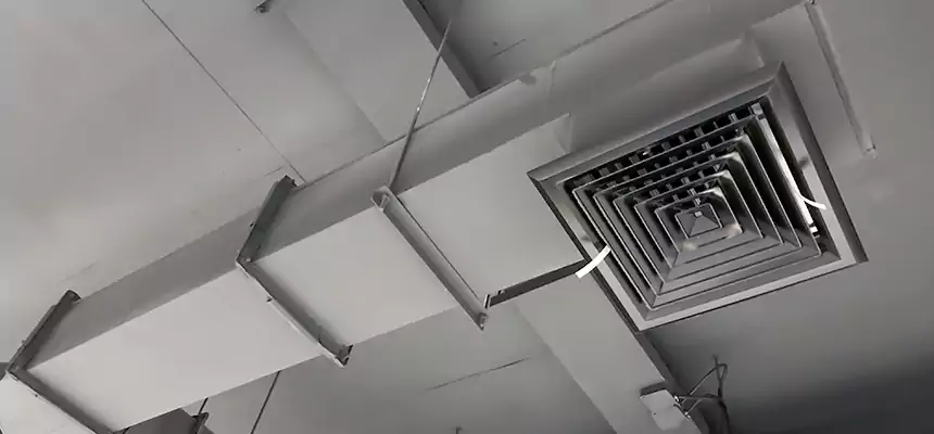 Our Rodent Droppings In Vents Services in Cathedral City, CA