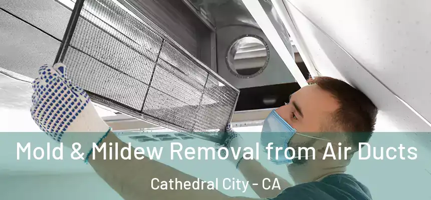  Mold & Mildew Removal from Air Ducts Cathedral City - CA