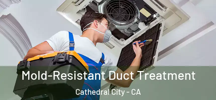  Mold-Resistant Duct Treatment Cathedral City - CA