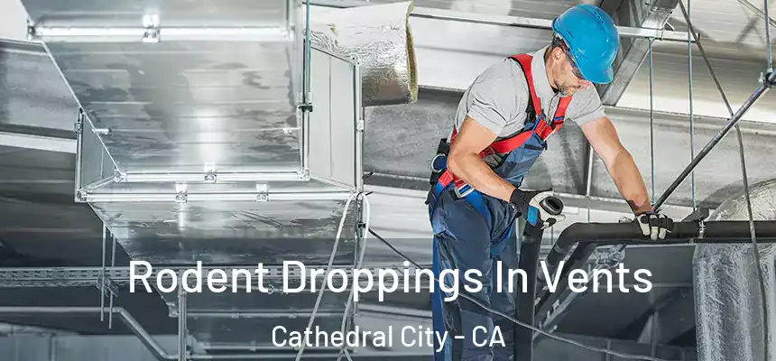  Rodent Droppings In Vents Cathedral City - CA