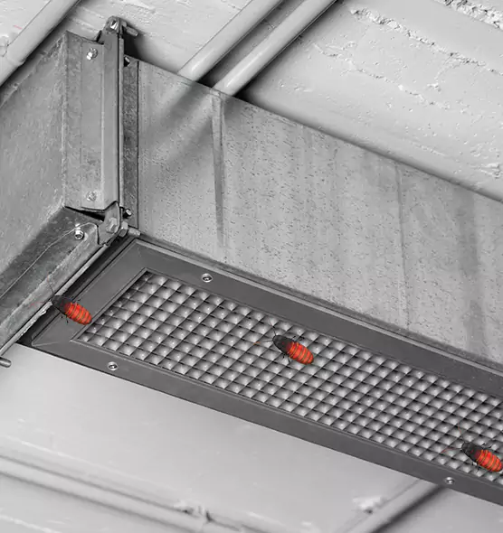 Affordable Insect Removal from Air Ducts in Cathedral City, CA