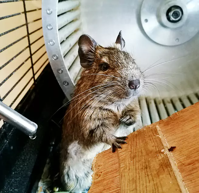 Why Homeowners & Businesses Trust Us Cathedral City, CA