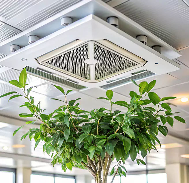 Why Homeowners & Businesses Trust Us in Cathedral City, CA